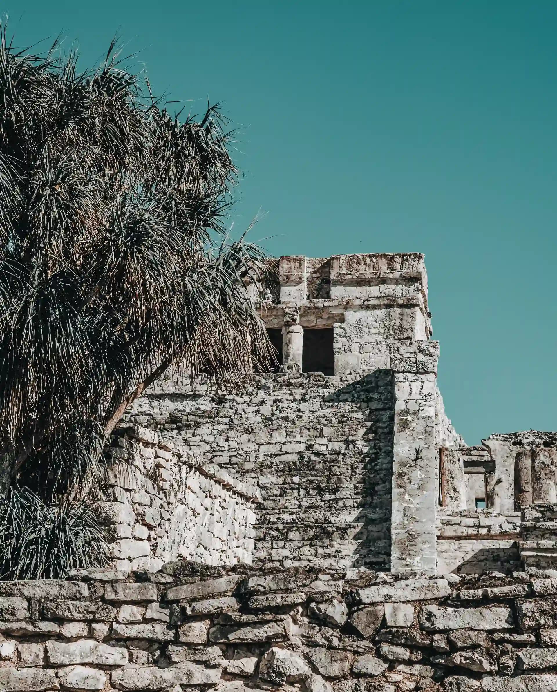 Ruins-in-Tulum-with-palm-tree